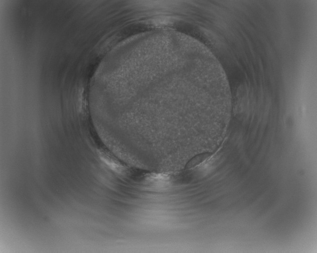 X0000074030140200609181936