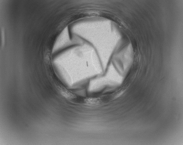 X0000074030141200609181936