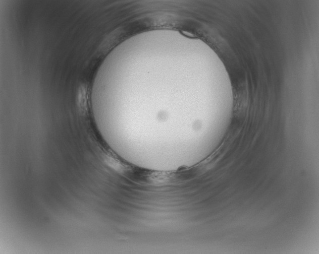 X0000074030142200609181936