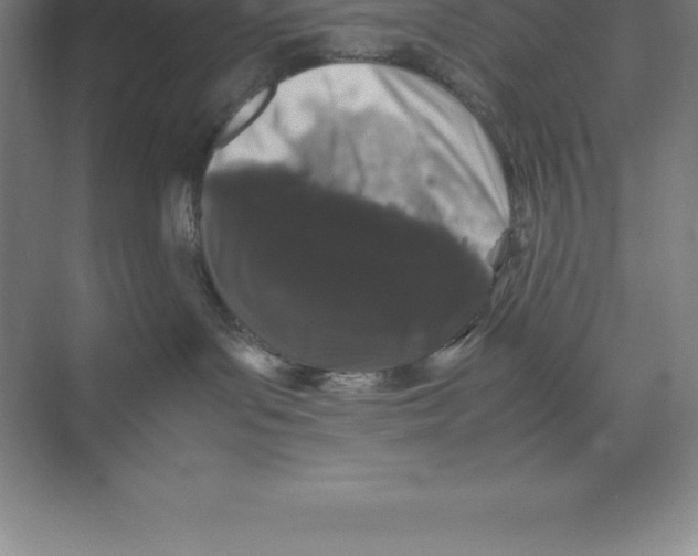 X0000074030143200609181936