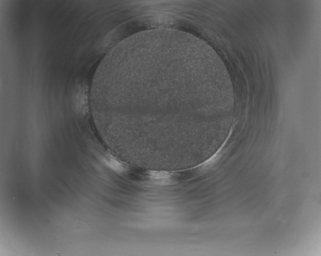 X0000074030144200609181936