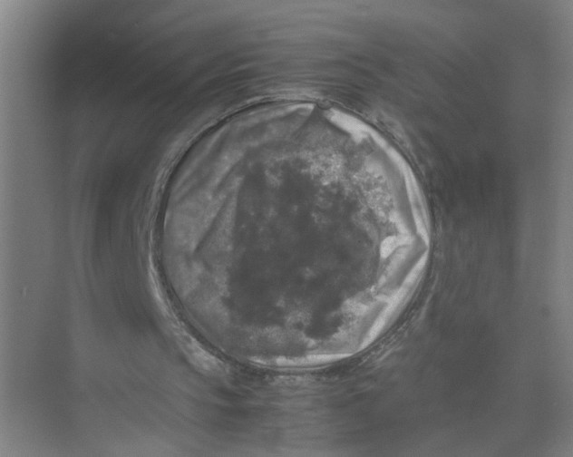 X0000074030145200609181935