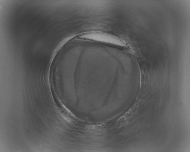 X0000074030147200609181935