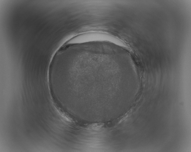 X0000074030148200609181935