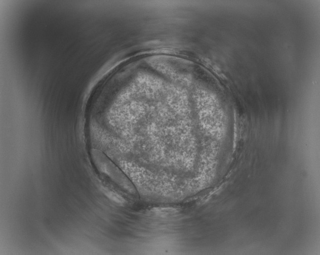 X0000074030150200609181935