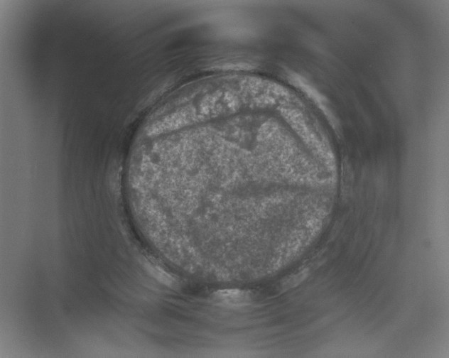 X0000074030153200609181935