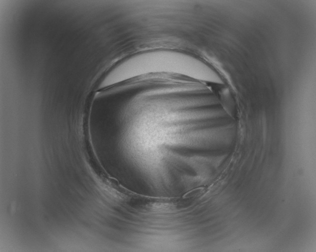 X0000074030154200609181935