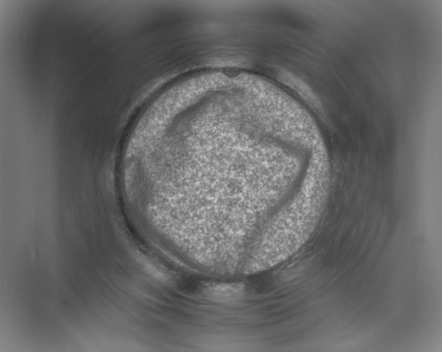 X0000074030155200609181935