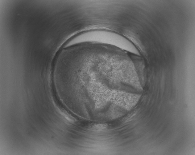 X0000074030156200609181936