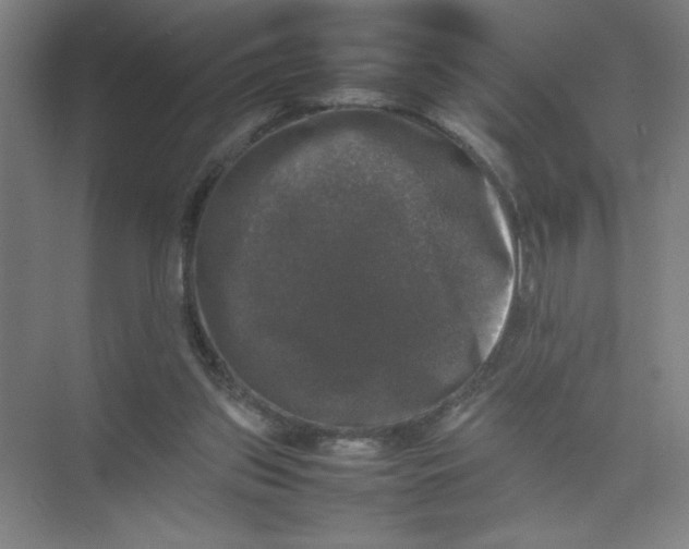 X0000074030157200609181936