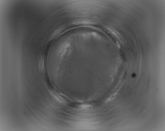 X0000074030158200609181936