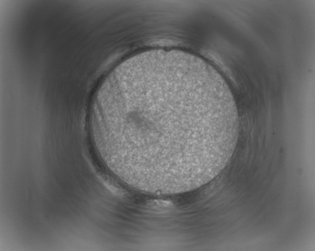 X0000074030159200609181936