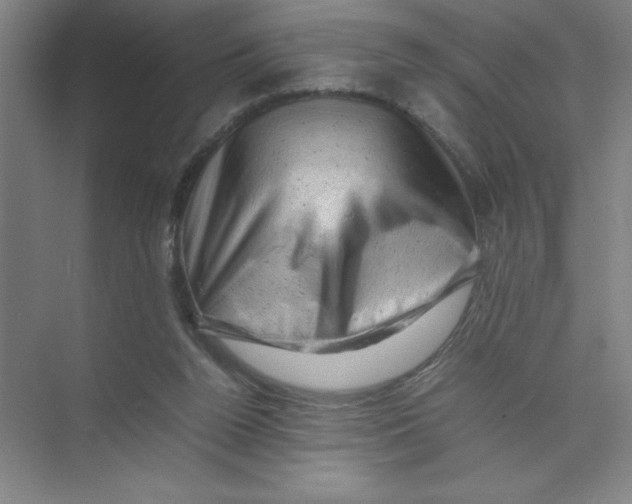 X0000074030160200609181936