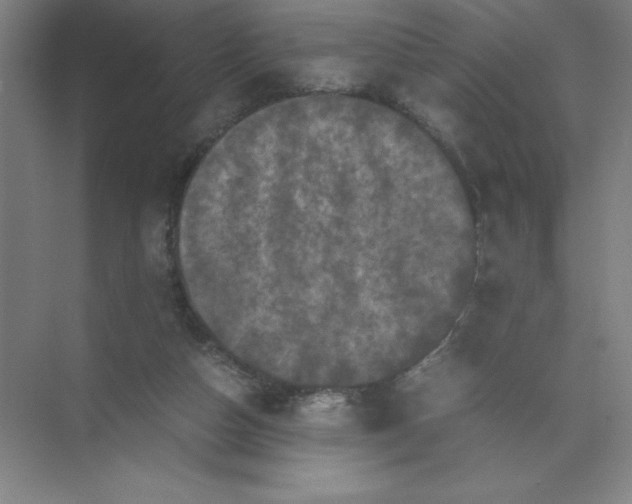 X0000074030162200609181936