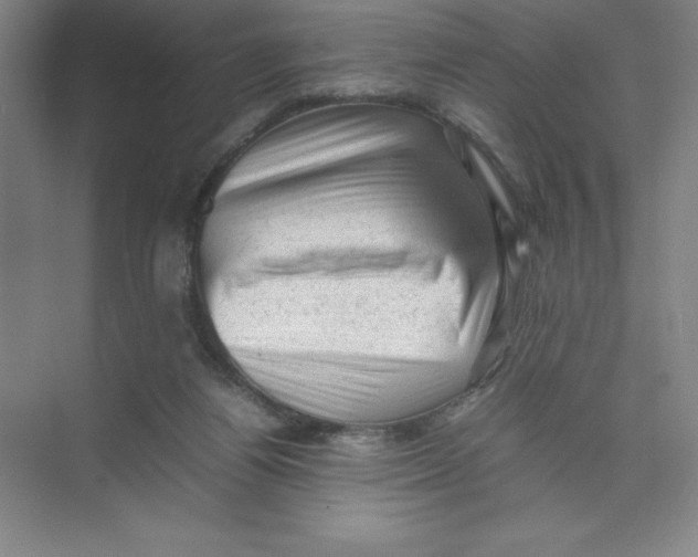 X0000074030164200609181936