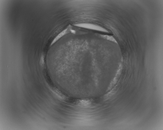 X0000074030166200609181936