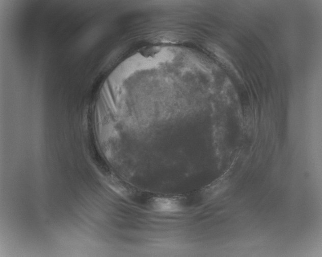 X0000074030167200609181936