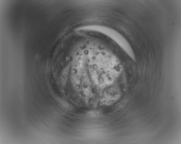 X0000074030168200609181936