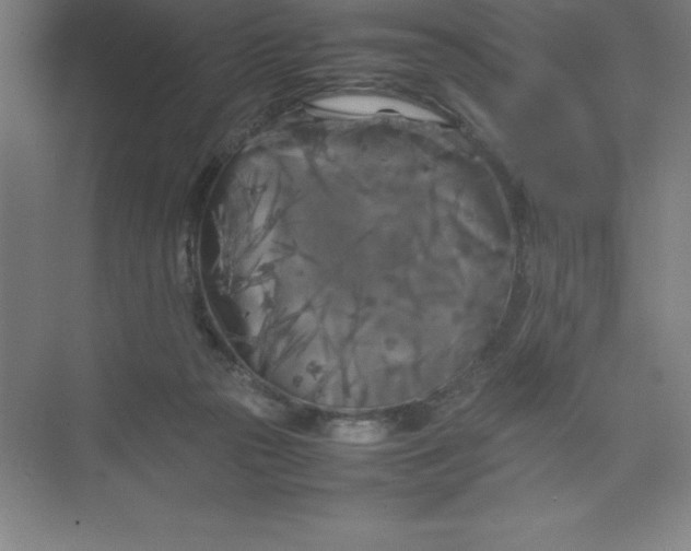 X0000074030169200609181936