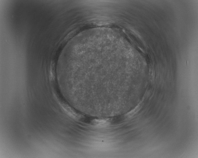 X0000074030170200609181936