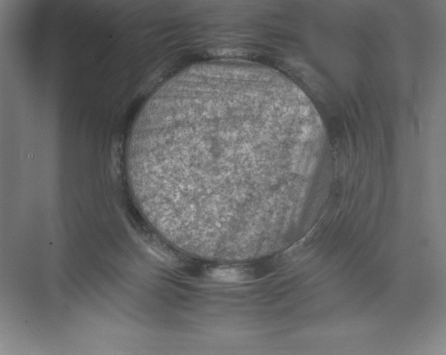 X0000074030171200609181936