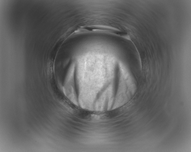 X0000074030172200609181936