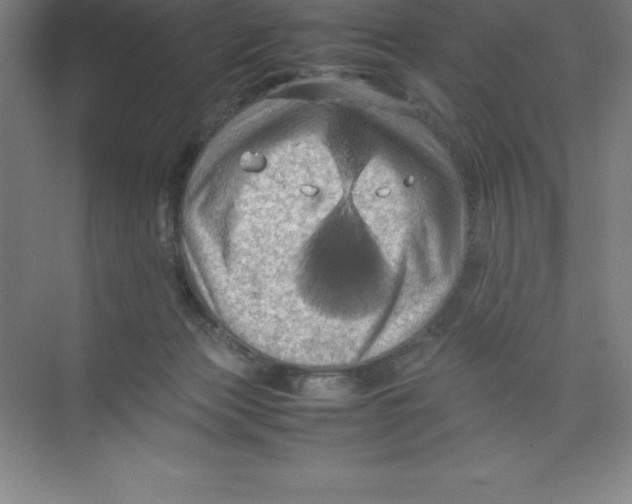 X0000074030173200609181936