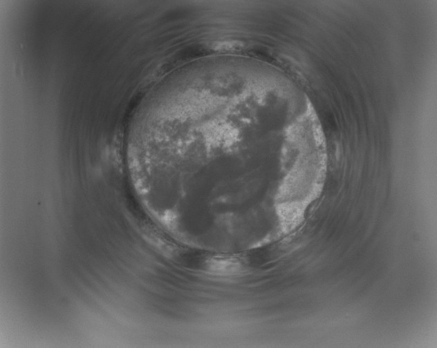 X0000074030175200609181936