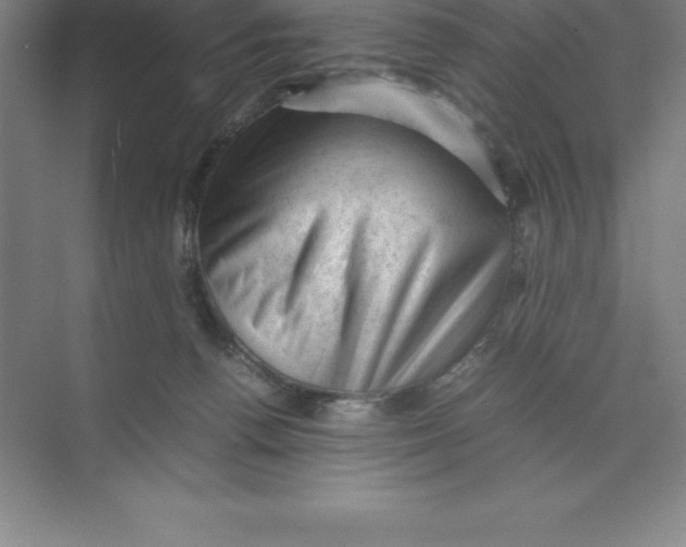 X0000074030176200609181936