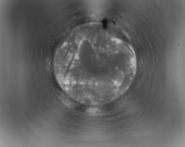 X0000074030177200609181936