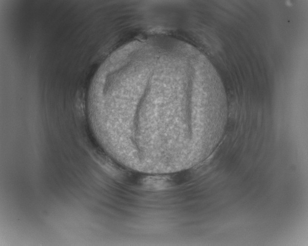 X0000074030179200609181936