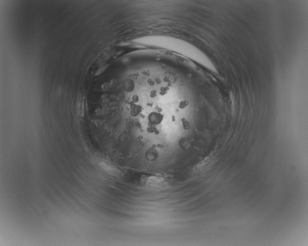 X0000074030180200609181936