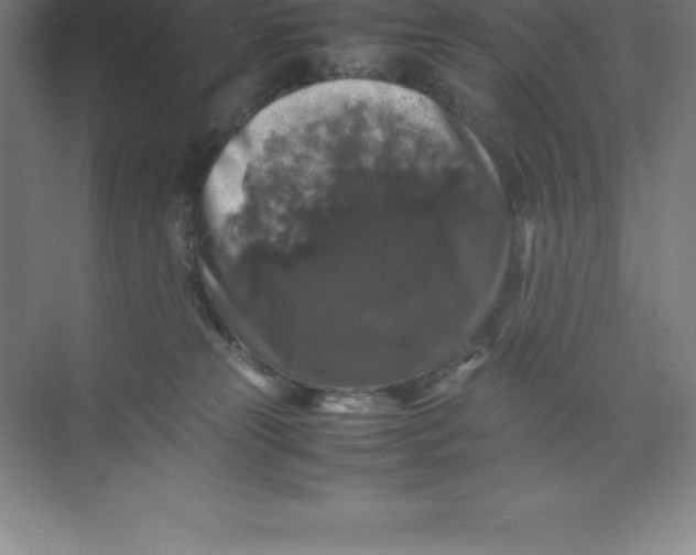 X0000074030181200609181936