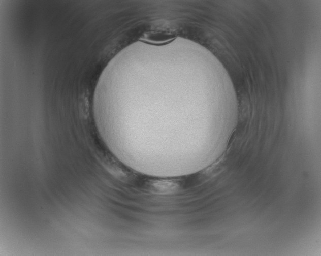 X0000074030183200609181936