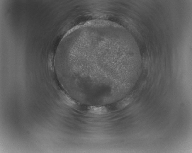 X0000074030185200609181936