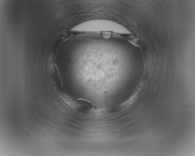 X0000074030186200609181936