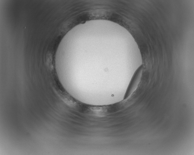 X0000074030187200609181936