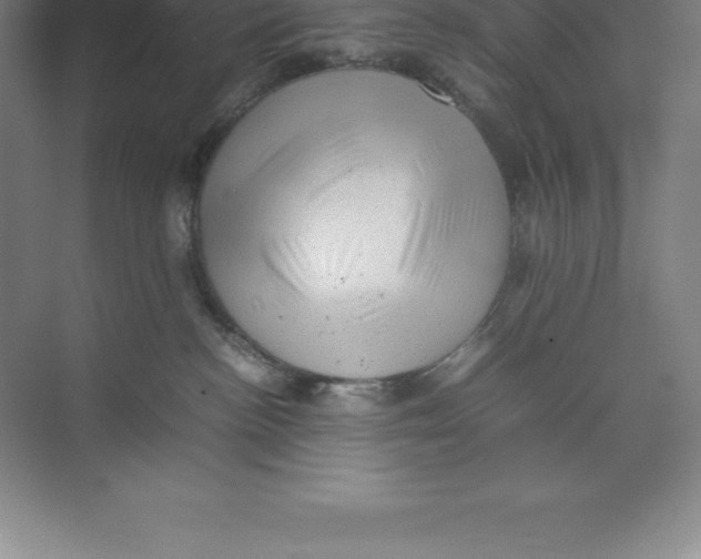 X0000074030188200609181936