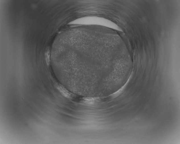 X0000074030190200609181936