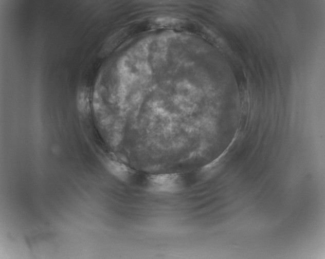 X0000074030191200609181936