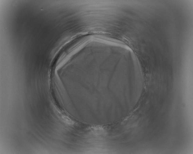 X0000074030194200609181935