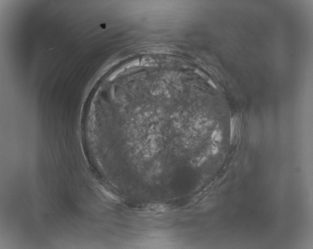 X0000074030195200609181935