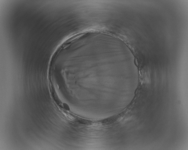 X0000074030196200609181935