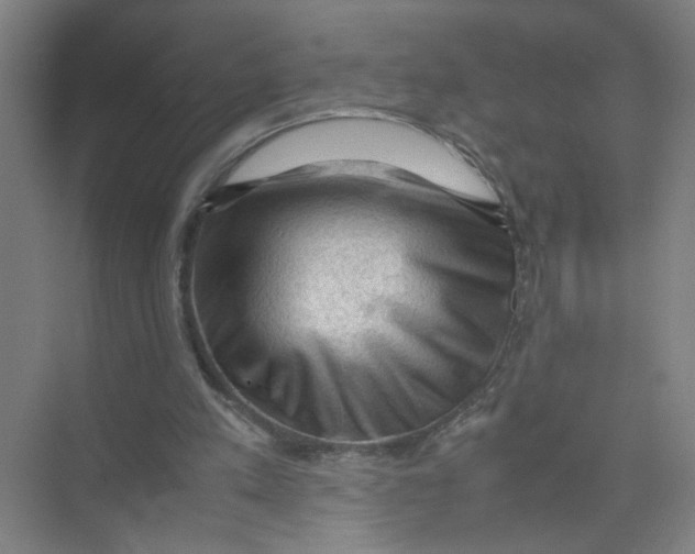 X0000074030197200609181935