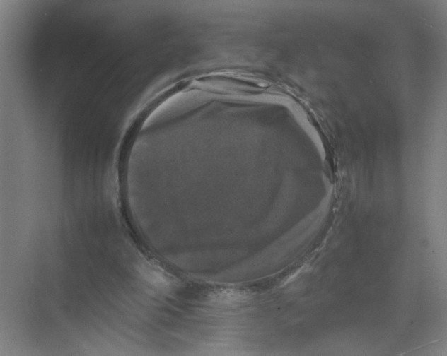 X0000074030198200609181935