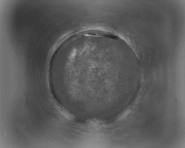 X0000074030199200609181935