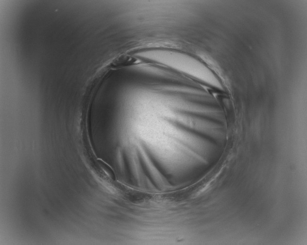 X0000074030201200609181935