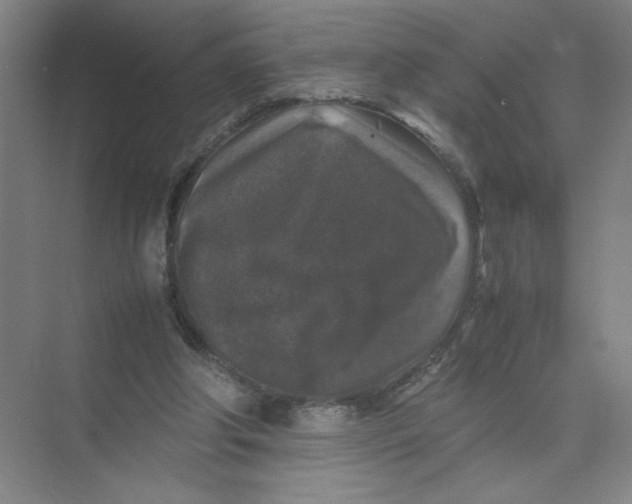 X0000074030202200609181935