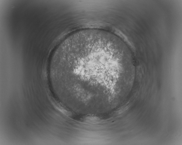 X0000074030203200609181935