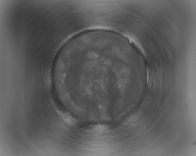 X0000074030204200609181935